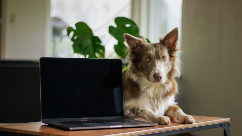 レスポンシブでヘッダー部分を作るPart3【JavaScript編】