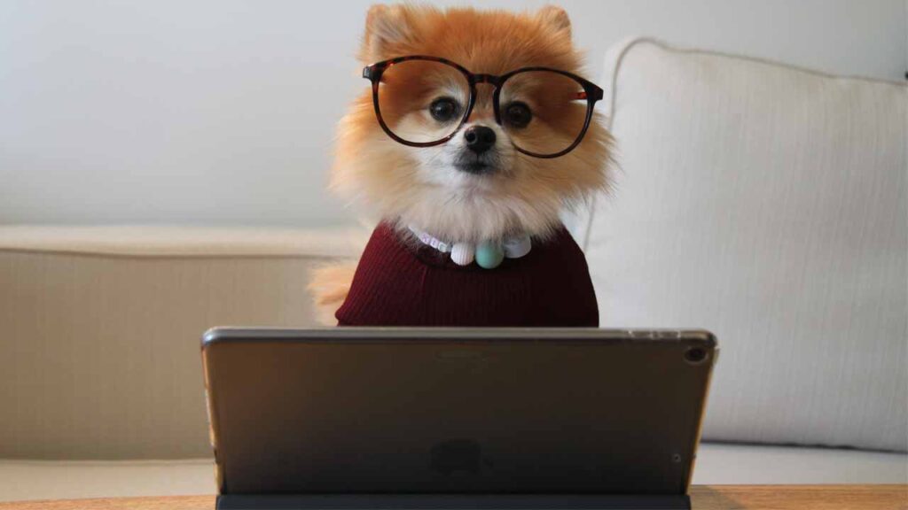 VBAモジュールを分ける意味はたった1つ【具体例あり】